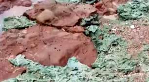 Fenômeno das 'rochas de plástico' é estudado no litoral do Espírito Santo