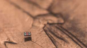 Quase microscópicos: cientistas de universidade dos EUA constroem os menores robôs autônomos já criados