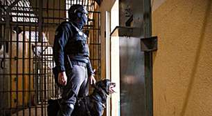 Governo do RS investe em cães de trabalho para fortalecer ações no sistema prisional