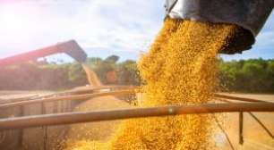 Bilhões em Jogo: Gigantes do Agro Avaliam Abandonar a Moratória da Soja