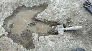 De estrada de dinossauros à origem do fogo, as descobertas mais sensacionais de 2025