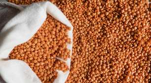 Lentilha: por que você deve consumir neste Réveillon; conheça os benefícios