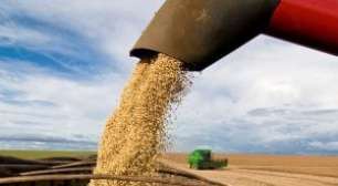 Ano Novo, Poder Novo: 2026 Será o Ano da Gestão de Compras no Agro