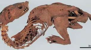 Ciência desvenda mistério de 'dragão japonês' achado no século 15