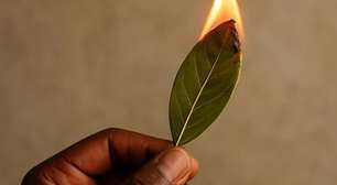 Poucas pessoas sabem, mas a minha avó me ensinou: queimar folhas de louro em casa é um tesouro para a sua vida