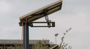 Eles resolveram o maior problema dos painéis solares: fizeram isso observando as árvores