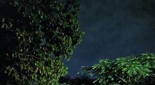 Poda noturna de árvore deixa moradores sem luz no bairro Santana, em Porto Alegre