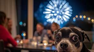 Atenção! Lei gaúcha mantém restrição a fogos com estampido acima do limite sonoro