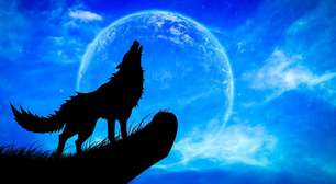 Lua do Lobo ilumina o início do ano e marca a primeira Lua cheia de 2026