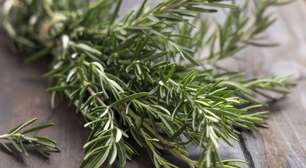 Ferver alecrim é a melhor dica caseira que aprendi com a minha avó: transforma o ambiente da sua casa