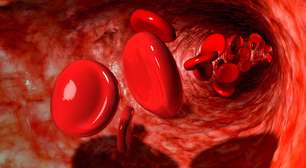 O Prêmio Nobel de 2016 revela o poder da autofagia: ficar sem comer (um tempo) beneficia seu corpo