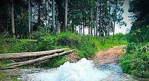 Dmae repara tubulação após rompimento de adutora que deixou 42 mil moradores sem água na capital