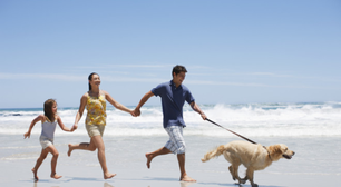 Vai viajar com o seu pet para a praia? Veja como protegê-lo de problemas