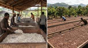 Sementes fermentadas, torradas e moídas por horas: é assim que o cacau se transforma na barra de chocolate que você ama