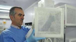 Conheça a Cientista por trás da Vacina contra a Dengue