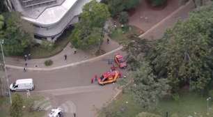 Árvore de grande porte cai e deixa duas pessoas feridas no Parque Ibirapuera, em SP