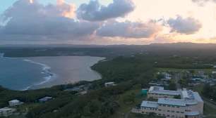 Cobras viram 'donas' de ilha e acendem alerta no Pacífico