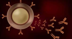 Petosemtamab: um novo anticorpo contra o câncer