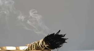 Esses são os benefícios de queimar alecrim em casa com resultados em poucos minutos depois