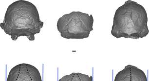 Uma nova espécie humana? Fóssil lendário está obrigando cientistas a repensarem as origens da humanidade