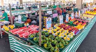 Prefeitura de Mogi prorroga prazo de credenciamento para feiras livres, noturnas e varejões