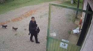 Vídeo mostra jovem pedindo ajuda em fazenda após conseguir sair do Pico Paraná