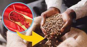 Esse feijão ajuda a controlar o açúcar no sangue e o colesterol e quase ninguém aproveita seus benefícios