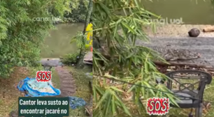 Susto! Cantor se apavora ao encontrar jacaré no quintal de casa: 'Maior medo'