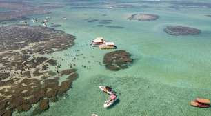 Roteiro por Alagoas: o que fazer de Maceió a Maragogi em 7 dias