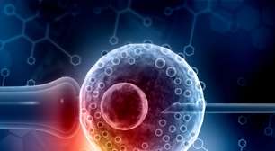 Bebês sob encomenda? Startups americanas vendem testes genéticos para escolher embriões por aparência, inteligência e até personalidade, reacendendo debate sobre eugenia