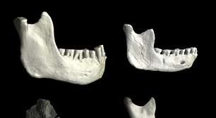 Descoberto restos mortais de ancestral mais próximo dos humanos modernos