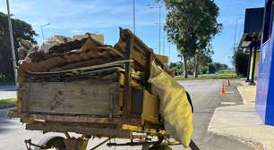 Cadela ferida e égua prenha são resgatadas em situação de maus-tratos no Sul do RS