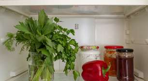 Se sua mãe não te ensinou, eu te ensino: é isso que você deve fazer para manter as ervas frescas por mais tempo na geladeira