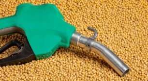 Por Que a Maioria dos Brasileiros Quer Mudar de Emprego em 2026?