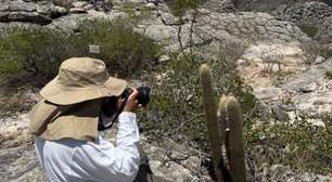 Dia da Fotografia é marcado por ação de recuperação ambiental em Pernambuco