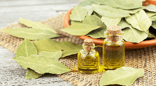 Folha de louro: 6 maneiras de melhorar a saúde com a planta