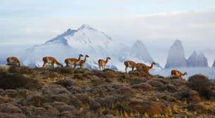 Turismo no Chile: 9 lugares para conhecer do deserto à Patagônia