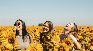 As pessoas mais felizes têm um hábito simples em comum. Começa em casa, mas influência até a produtividade no trabalho