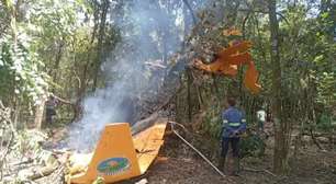 Avião cai em zona rural de pequena cidade do Interior de SP