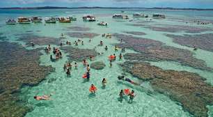 Maragogi: como chegar, melhores praias e dicas de pousadas