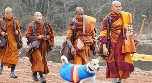 Após resgate, cão participa de caminhada pela paz com monges