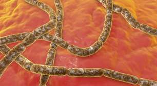 Anvisa proíbe venda de fórmulas infantis por risco de contaminação