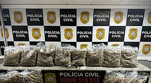 Maconha de alto valor comercial é apreendida em ação do Denarc no Vale do Sinos
