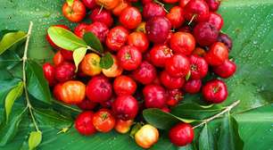 Acerola: conheça a superfruta tropical rica em vitamina C e fácil de cultivar no quintal
