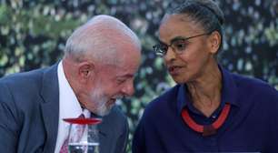 Pelo 2º ano consecutivo, desmatamento cai na Amazônia e no Cerrado