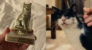 Gata que participou do filme 'O Agente Secreto' ganha prêmio 'Golden Beast' em festival de Hollywood