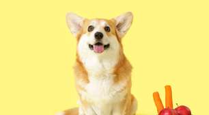 9 sabores que os cachorros mais gostam