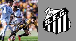 Antes da estreia no Paulistão, a torcida do Santos FC deixou um recado claro