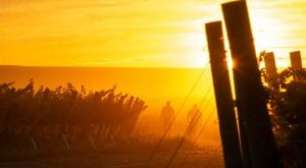 Vinícola Ceretto: Piemonte, a Meca Italiana Gastronômica e Enoturística