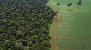 Esvaziamento da Moratória da Soja põe em risco reputação do país, dizem ambientalistas